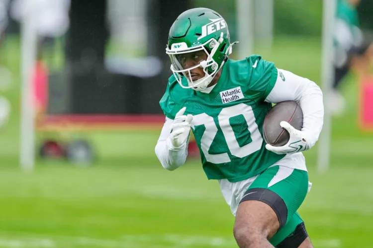 BOUNCE-BACK YEAR?